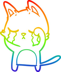 rainbow gradient line drawing crying cartoon cat