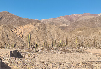 landscape in the desert