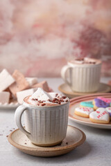 Hot Chocolate with Marshmallows and Cookies