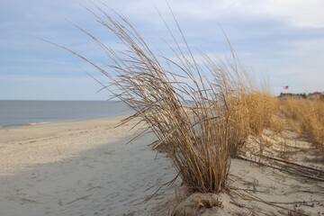 Sand Dunes Broadkill Beach Delaware