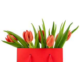 Spring tulips in gift bag isolated on a transparent background