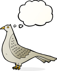 cartoon bird with thought bubble