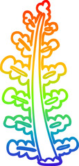 Fototapeta na wymiar rainbow gradient line drawing cartoon plant