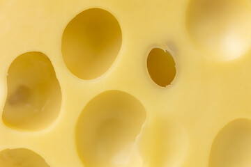 Texture of maasdam cheese with holes close-up