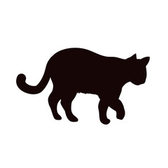 cat silhouette isolated - vector illustration