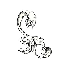 traditional hand drawn floral swirl