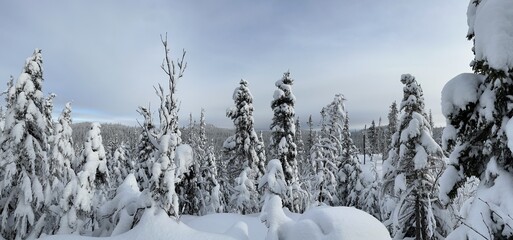 paysage hivernal au Qu&eacute;bec