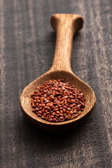 Red quinoa seeds in spoon - Chenopodium quinoa