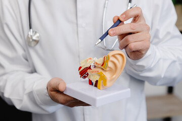 A young attractive otolaryngologist doctor shows a mock-up of an ear and tells a patient about the...