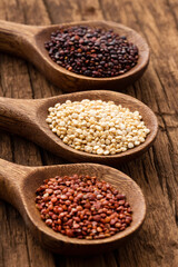 Chenopodium quinoa - White, red and brown quinoa seeds in spoon