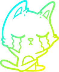 cold gradient line drawing crying cartoon cat