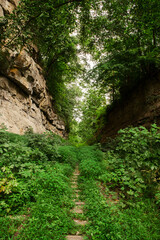 abandoned train track through a ravine