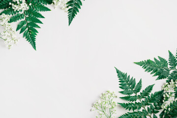 Green fern leaves and white gypsophila flowers on light grey background. Natural summer or spring...