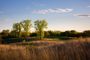 Fototapeta premium Minnesota Prarie and Woodlands