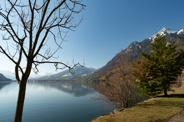 View over the lake of Lucerne in Alpnach in Switzerland