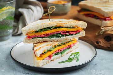 Two homemade sandwiches with sausage, cheese and arugula on a light concrete background