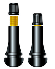 Tubeless tire valve