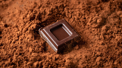 Dark and milk chocolate with nuts on a dark background sprinkled with cocoa powder.