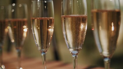 Glasses of champagne at the festival. Bubbles in sparkling wine. - Powered by Adobe