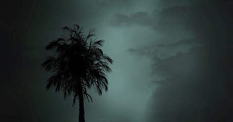 Naklejka premium Composition of silhouette of palm tree over clouded sky