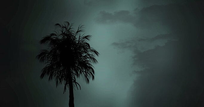 Composition of silhouette of palm tree over clouded sky