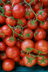 fresh tomato with water drop close up 