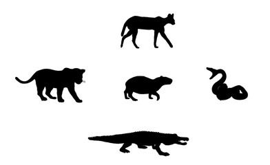 Capybara natural enemies food chain ocelot, snake, jaguar, crocodile. Capybara vector silhouette illustration isolated on white background. Biggest rodent animal symbol. Hydrochaeris hydrochaeris.