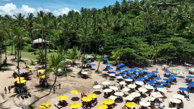 Tiririca Beach At Itacare In Bahia Brazil. Tourism Landscape. Nature Background. Travel Scenery. Vacations Destinations. Seaside Scene. Tiririca Beach At Itacare In Bahia Brazil. 