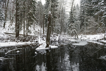 Snowy Winter Landscape with River in Forest. Flowing Water And Snowy Tree in Background