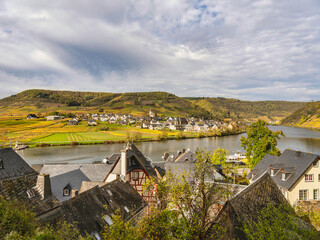 Naklejka premium Ellenz-Poltersdorf village Vineyards view from Beilstein on Moselle river, Germany