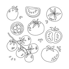 Set of doodle tomatoes. Vector illustration isolated on white background. Coloring for kids.