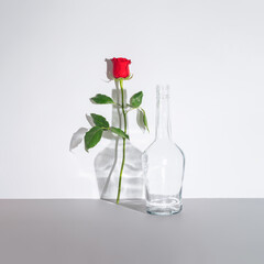 Aesthetic, surreal composition of single red rose stands in the shadow of a transparent glass bottle against gray. Contemporary  art with contrasting colors. Withering in someone else's shadow.