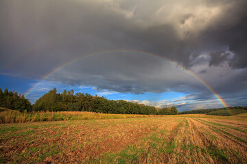 rainbow after a summer storm over the fields