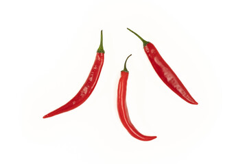 Red chili pepper on a white background.