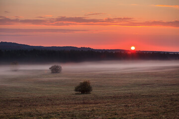 sunrise over the meadow