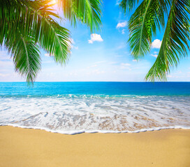 tropical beach with coconut palm - 576133494