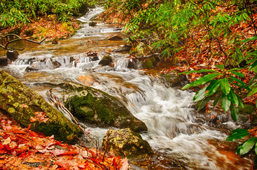 Fall Creek Cascades at E B Jefress Park on the Blue Ridge Parkway NC