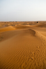 Dubai desert, yellow desert dunes and the sky on a sunny day