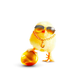 Funny cute baby chick with sunglasses and egg. © Thaut Images