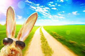 Funny Easter bunny. Happy Easter holiday concept.