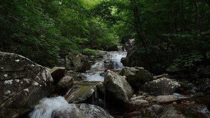Beautiful valley scenery in Korea