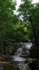 Beautiful valley scenery in Korea