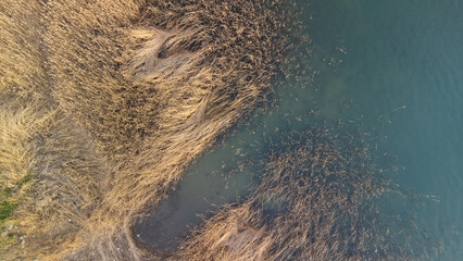 Aerial view of lake and reeds. Lake Sapanca in Turkey. Lake water level decreased due to drought. Drone view. Selective focus included. Noise and grain included.