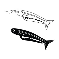 black and white catfish vector illustration