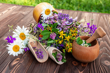 Summer medicinal herbs - St. John's wort, chamomile, clover near wooden mortar. Preparation of...