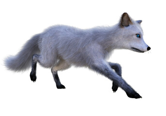 3D rendering of adorable arctic fox, on transparent background  © Carlos