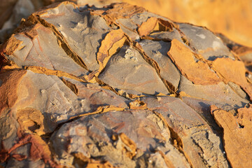 Close up view of the divided rock texture