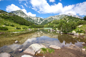 Fototapeta na wymiar Summer view of Pirin Mountain around Banderitsa River, Bulgaria