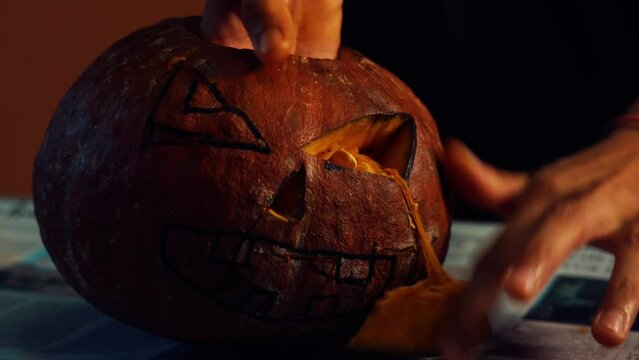 Hands preparing a Halloween pumpkin. Small hand digs inside the pumpkin and removes the seeds. Fingers carve a large orange pumpkin and remove the mush from the inside.