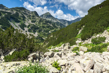 Summer view of Pirin Mountain around Banderitsa River, Bulgaria